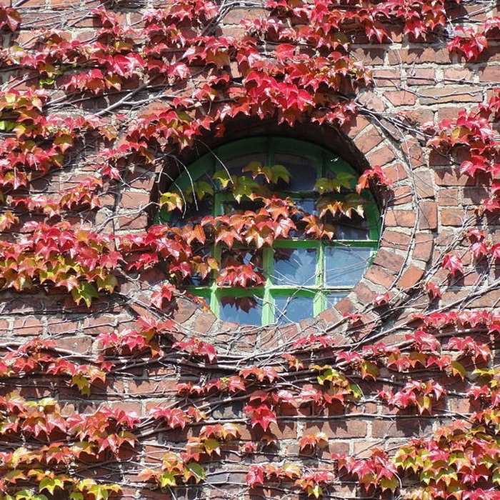 Photo de Ancien carreau de la fosse n 1 de la compagnie des mines de Vicoigne-Noeux-Drocourt