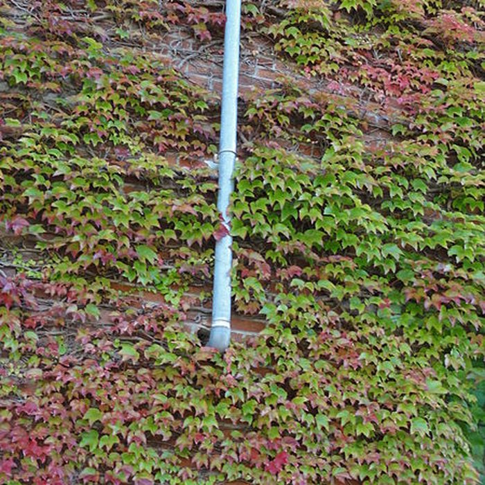 Photo de Ancien carreau de la fosse n 1 de la compagnie des mines de Vicoigne-Noeux-Drocourt