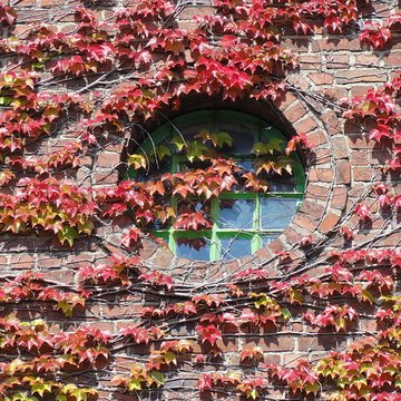 Ancien carreau de la fosse n 1 de la compagnie des mines de Vicoigne-Noeux-Drocourt