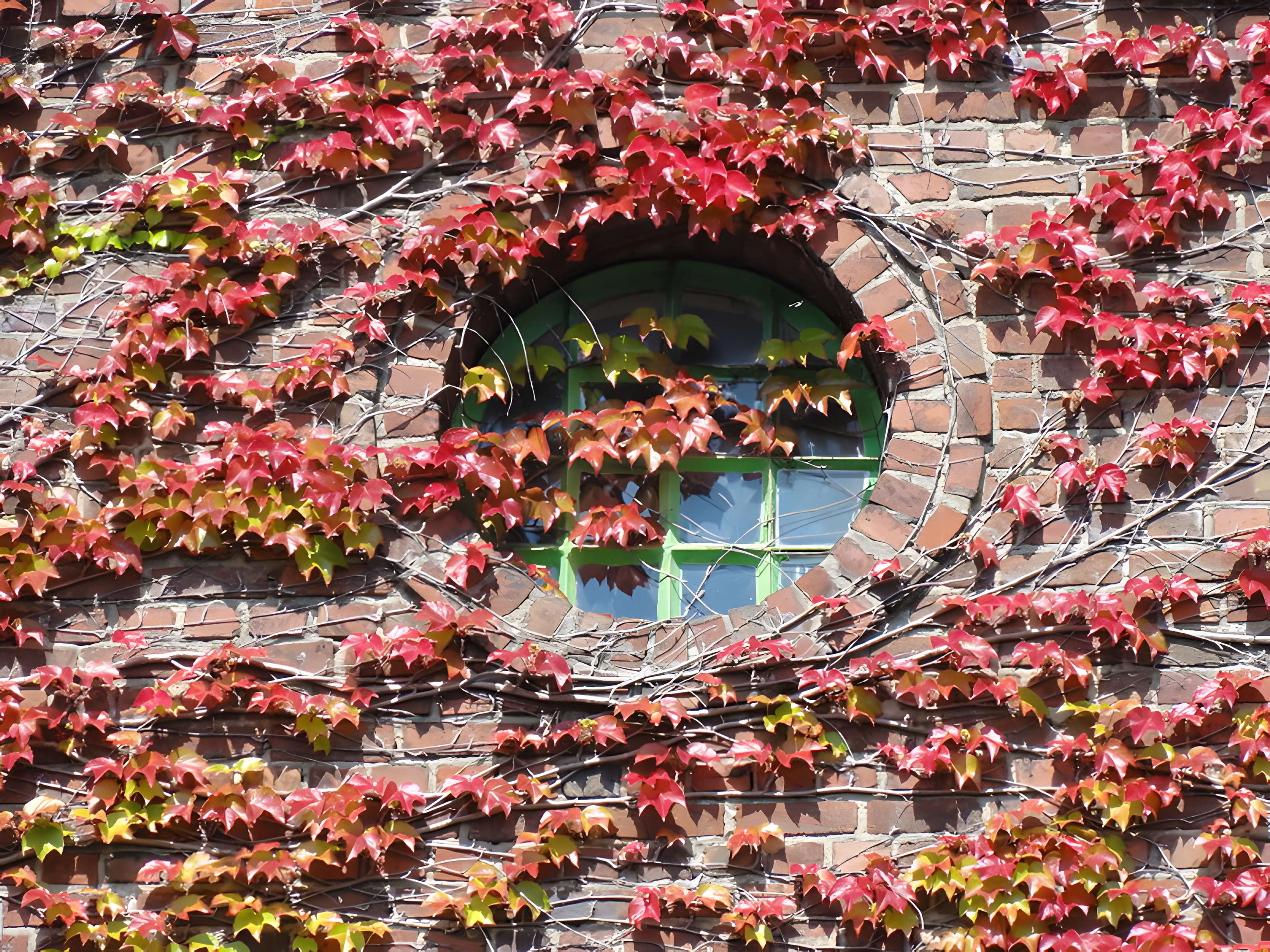 Ancien carreau de la fosse n° 1 de la compagnie des mines de Vicoigne-Noeux-Drocourt