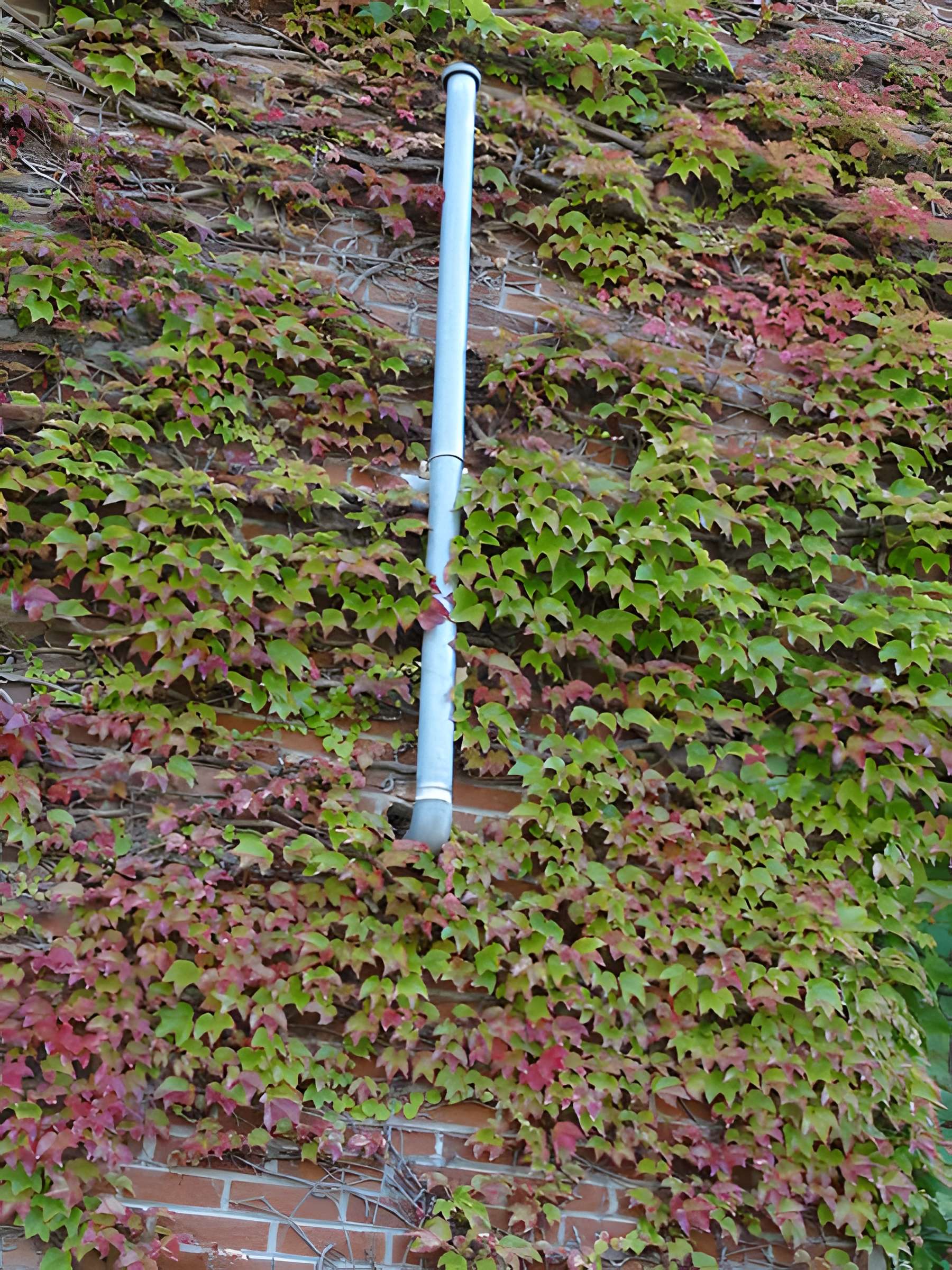 Ancien carreau de la fosse n° 1 de la compagnie des mines de Vicoigne-Noeux-Drocourt