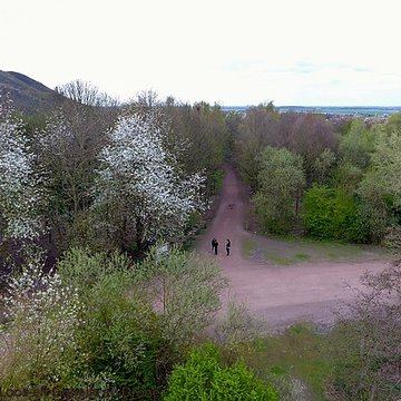Fosse n 11 - 19 des mines de Lens à Loos-en-Gohelle