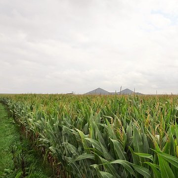 Fosse n 11 - 19 des mines de Lens à Loos-en-Gohelle