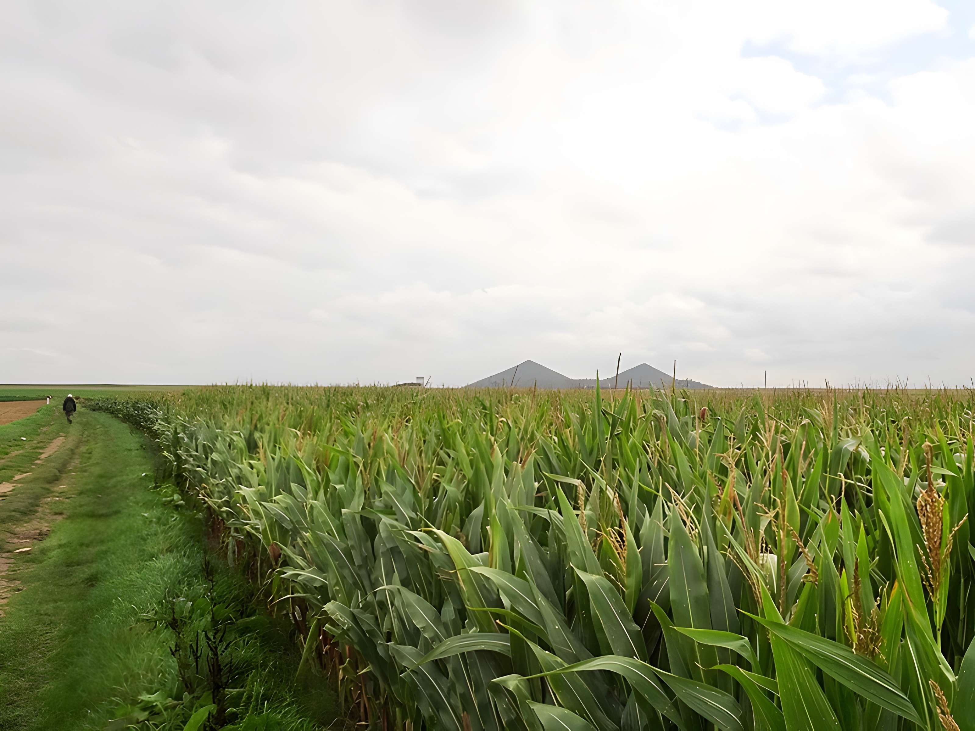 Fosse n° 11 - 19 des mines de Lens à Loos-en-Gohelle