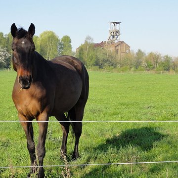 Fosse n 2 des mines de Flines à Anhiers