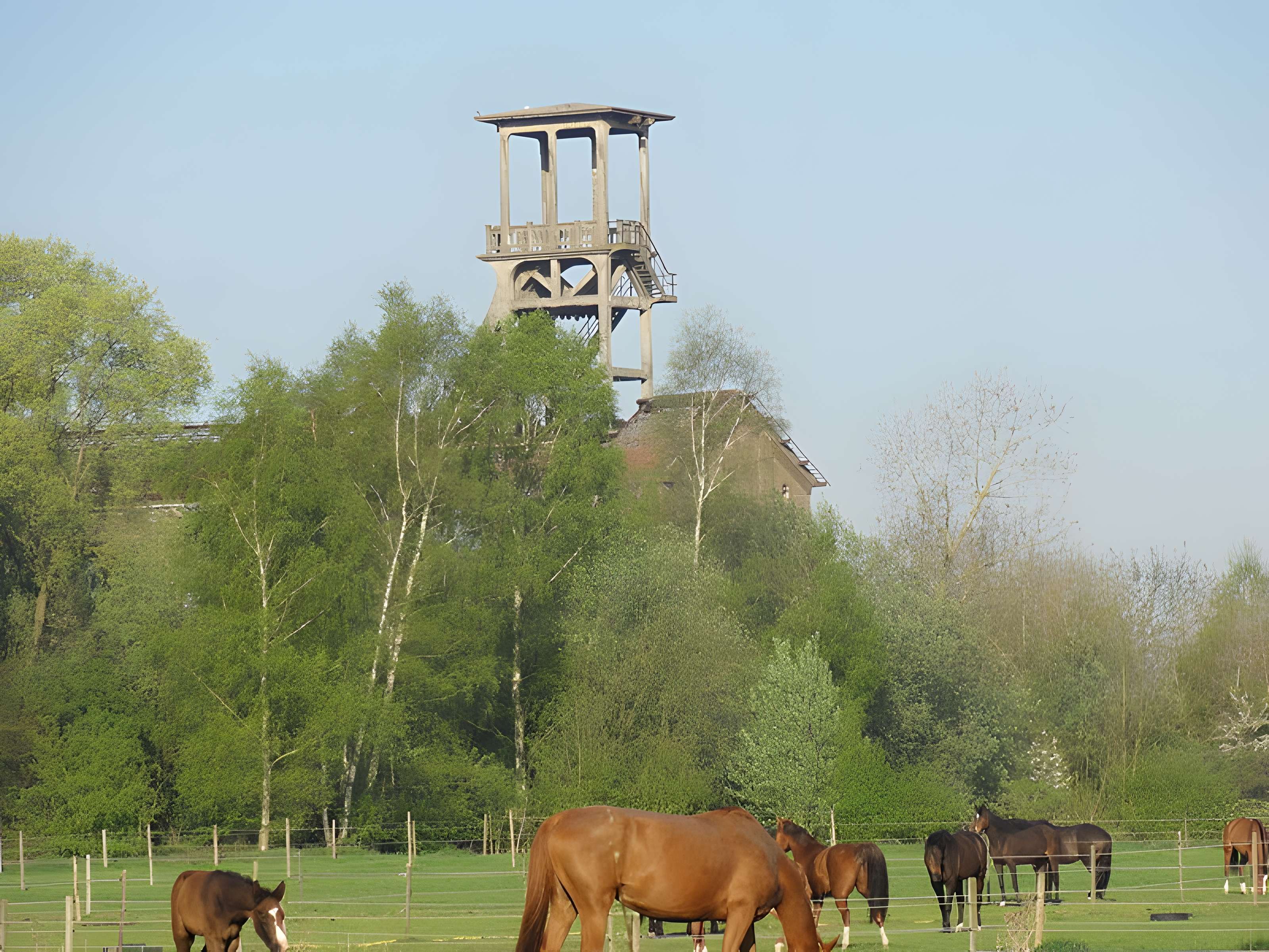Fosse n° 2 des mines de Flines à Anhiers