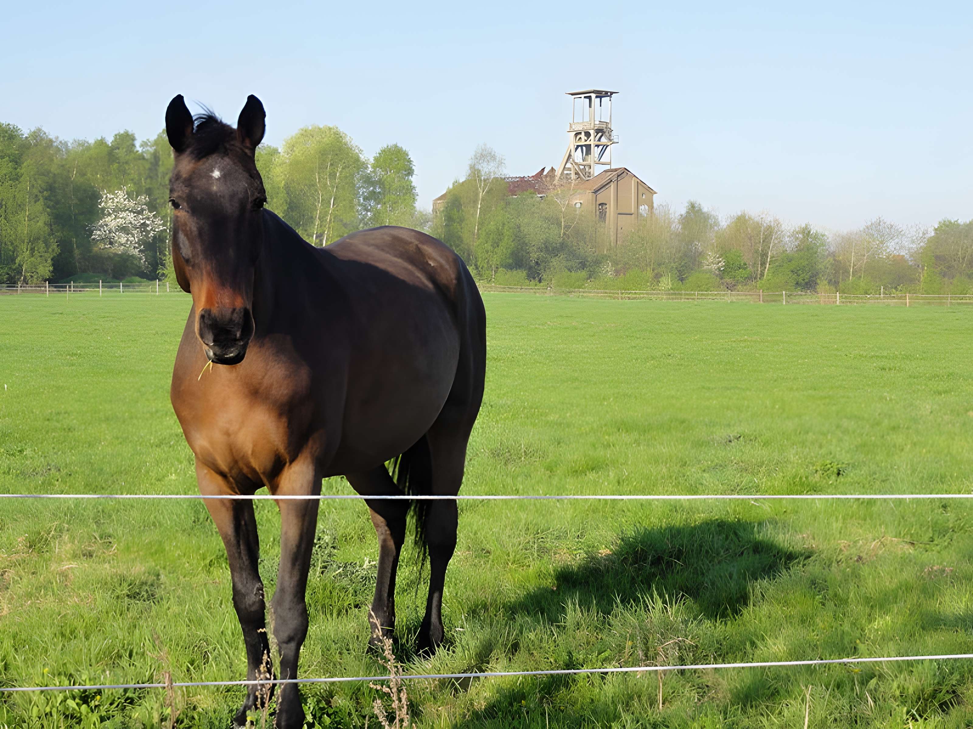 Fosse n° 2 des mines de Flines à Anhiers