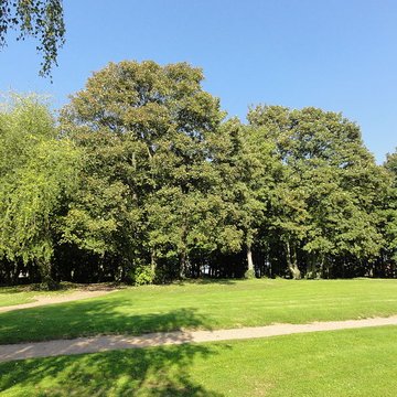 Fosse n 2 des mines de Marles