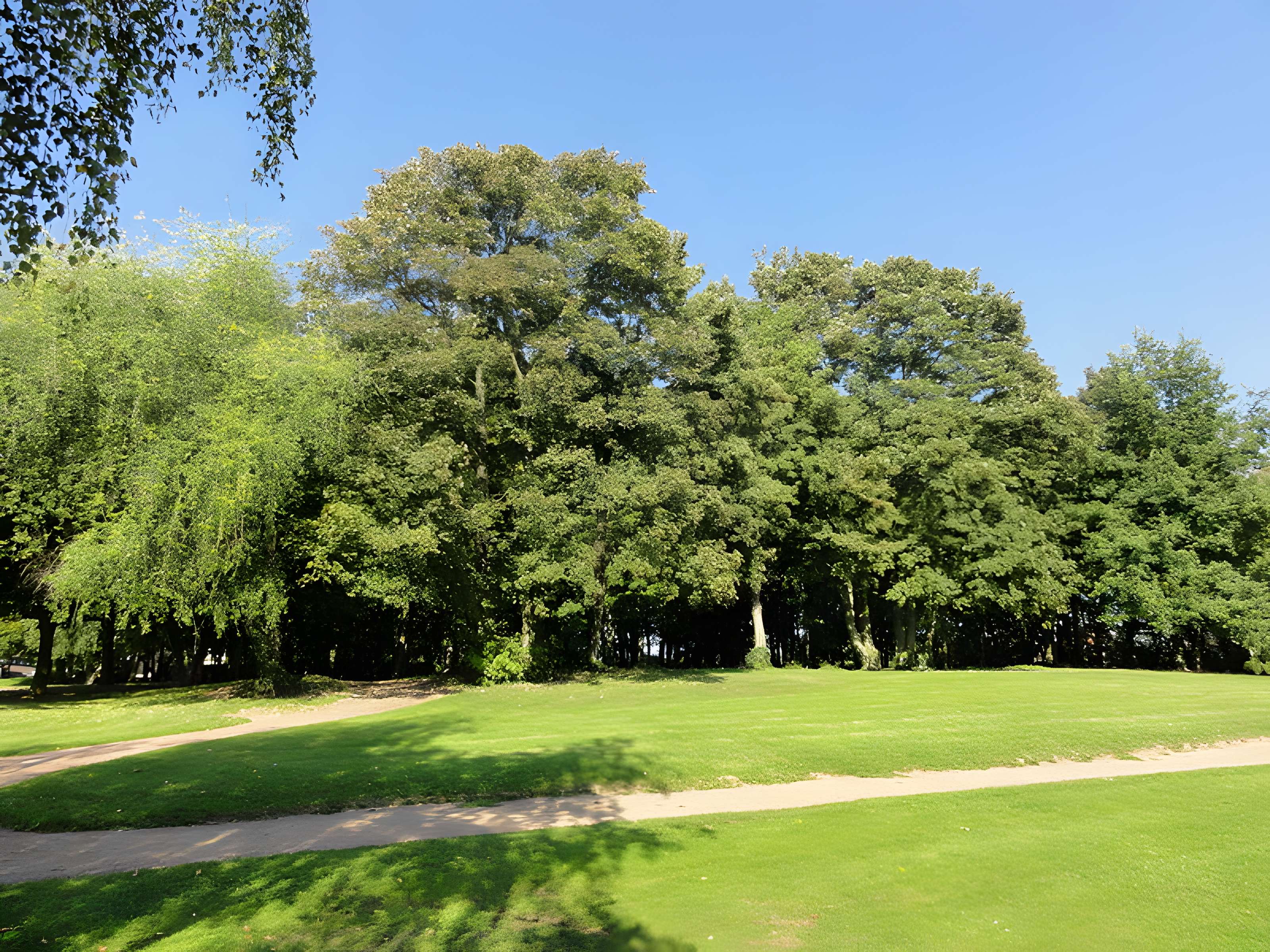 Fosse n° 2 des mines de Marles