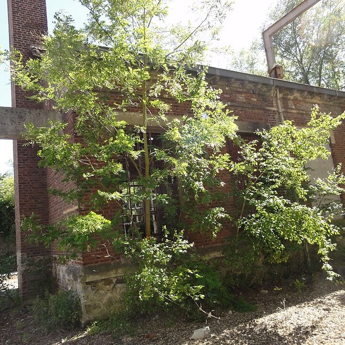 Photo de Fosse n 6 des mines de Lens à Haisnes