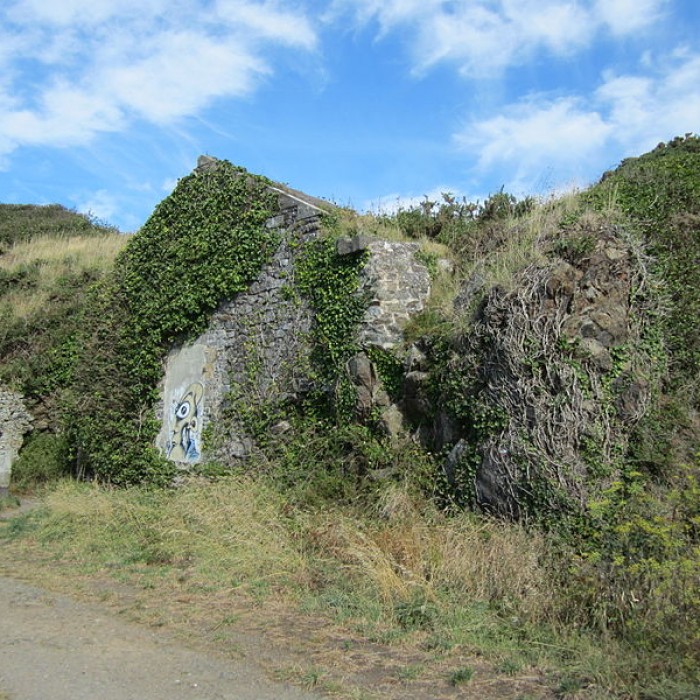 Photo de Four à rougir les boulets de la pointe du Roc à Granville