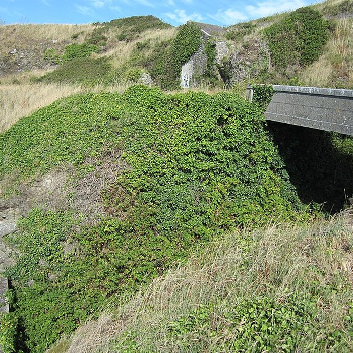 Photo de Four à rougir les boulets de la pointe du Roc à Granville