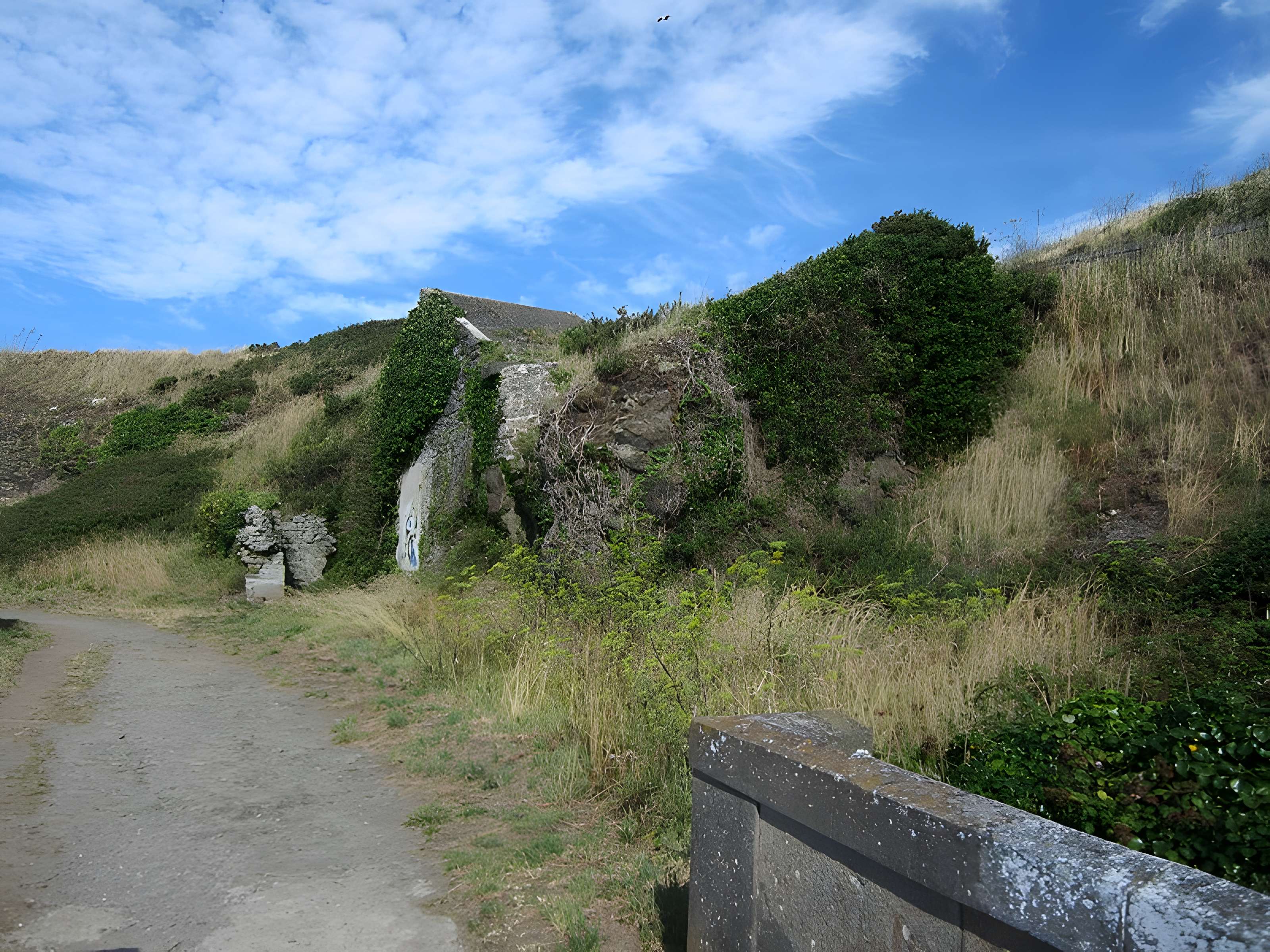 Four à rougir les boulets de la pointe du Roc à Granville