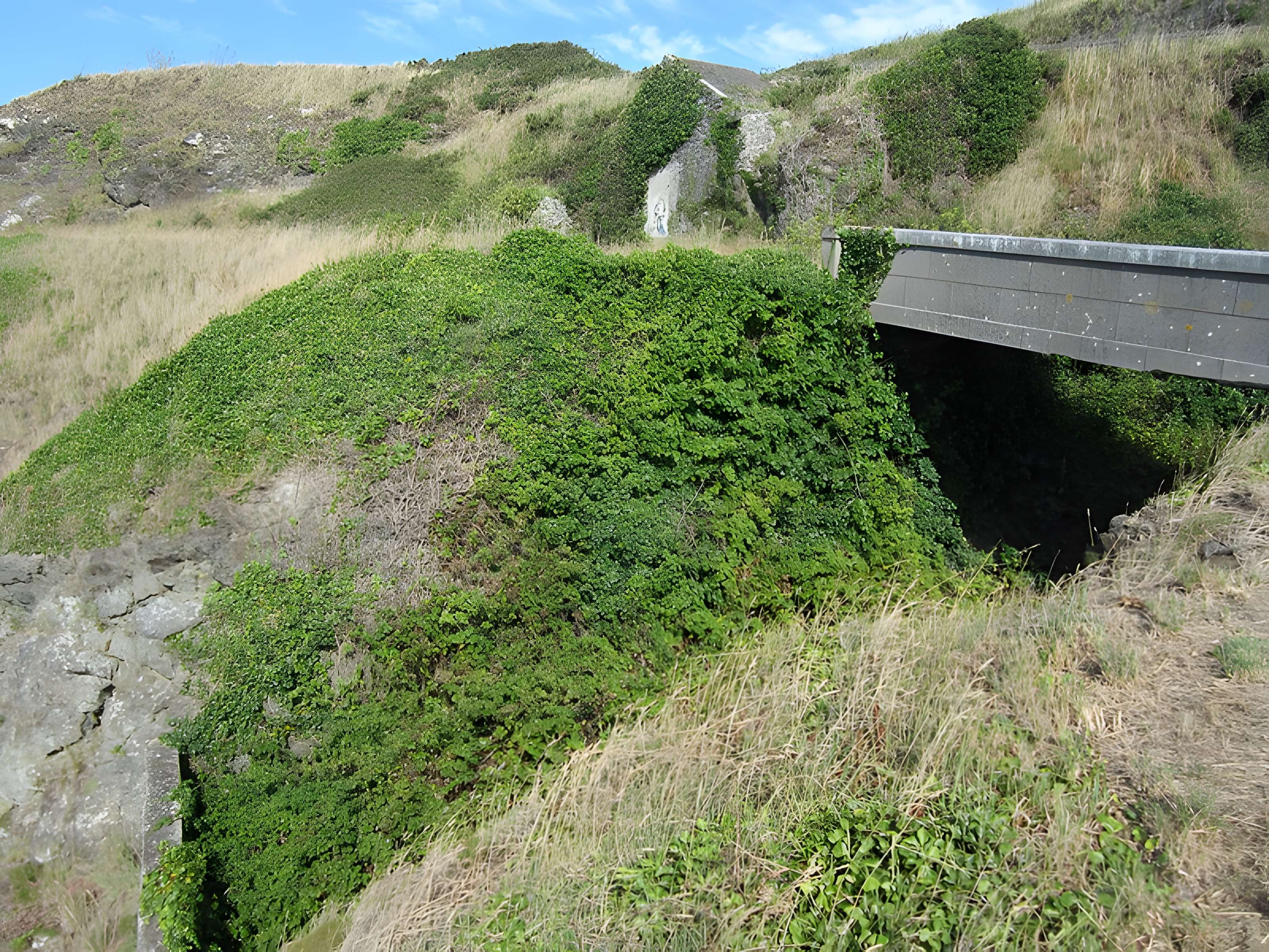 Four à rougir les boulets de la pointe du Roc à Granville