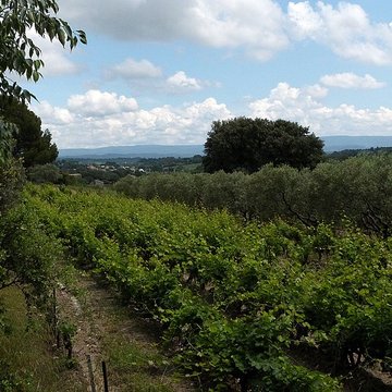 Chapelle Notre-Dame dAubune