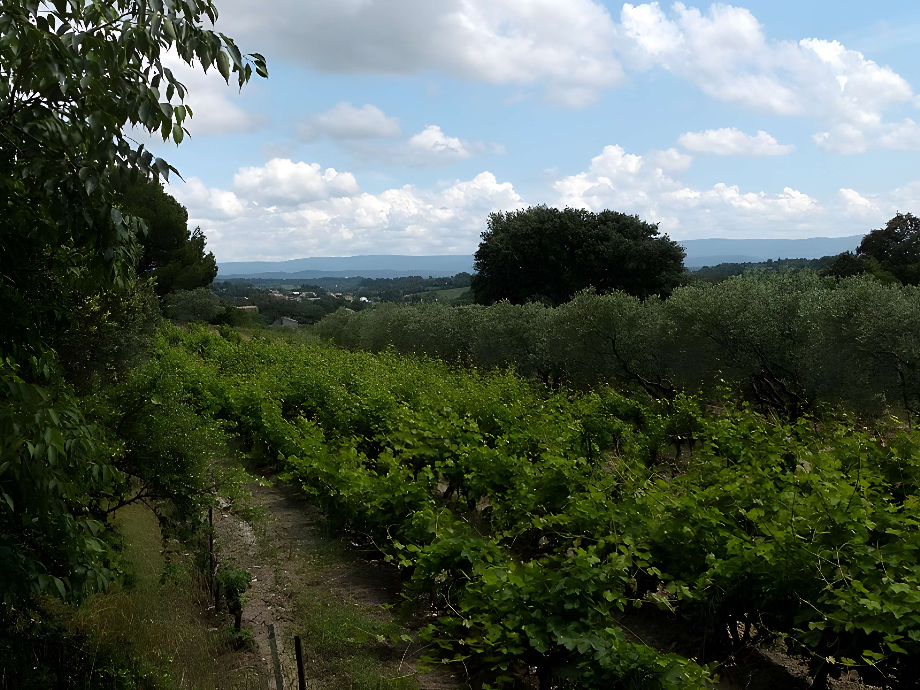 Chapelle Notre-Dame d'Aubune