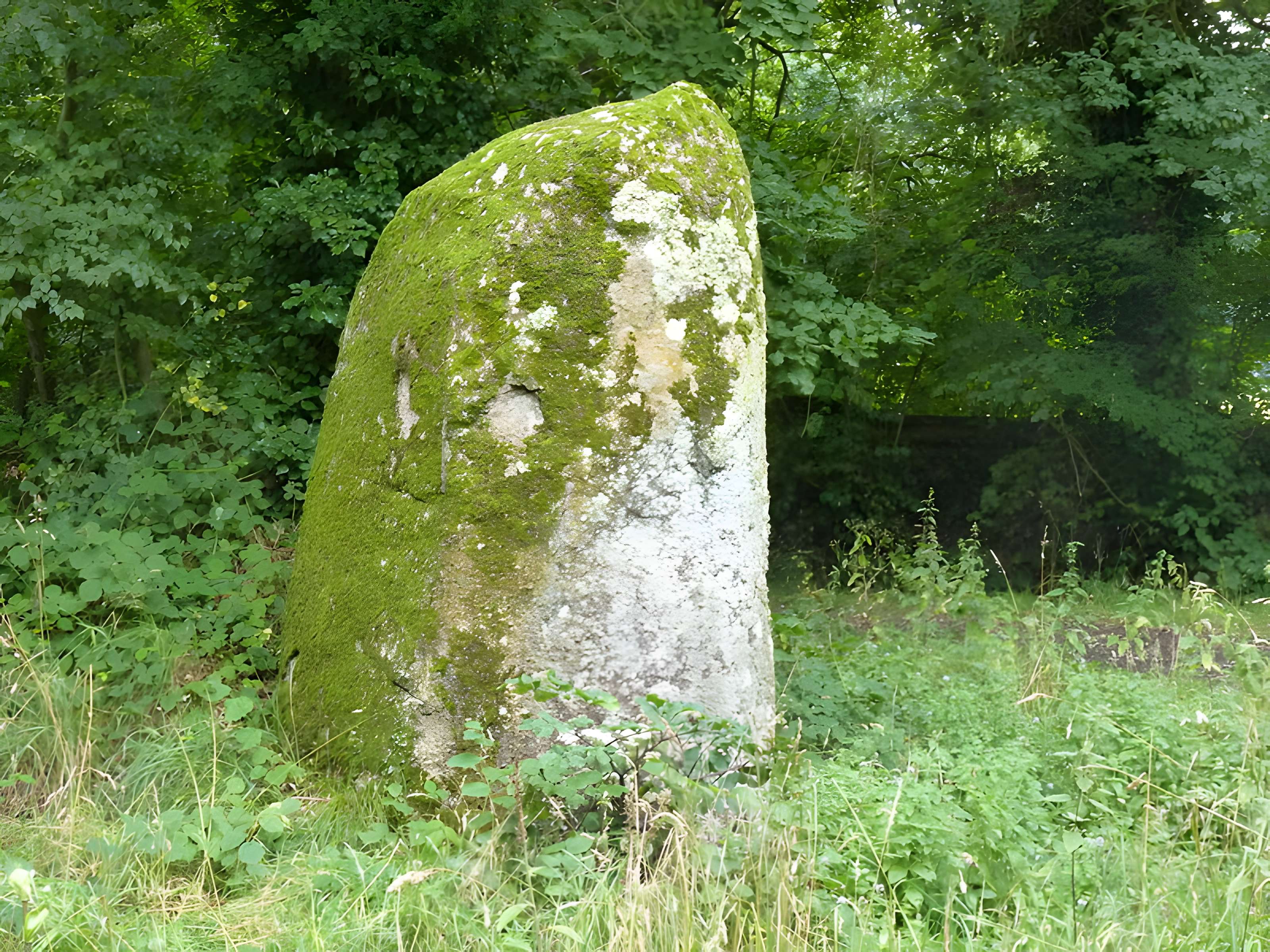 Fuseau de Margot à Plédran