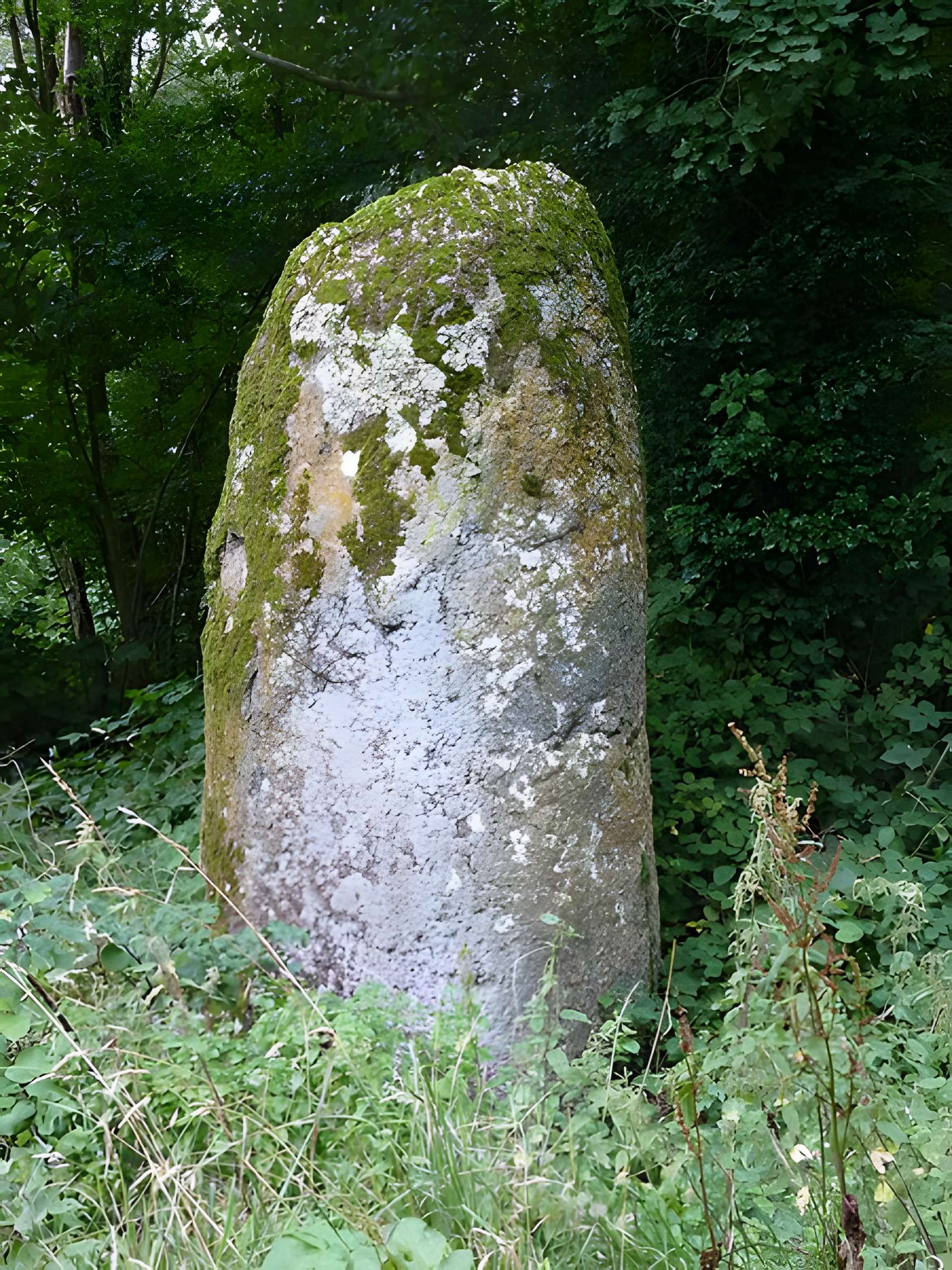 Fuseau de Margot à Plédran
