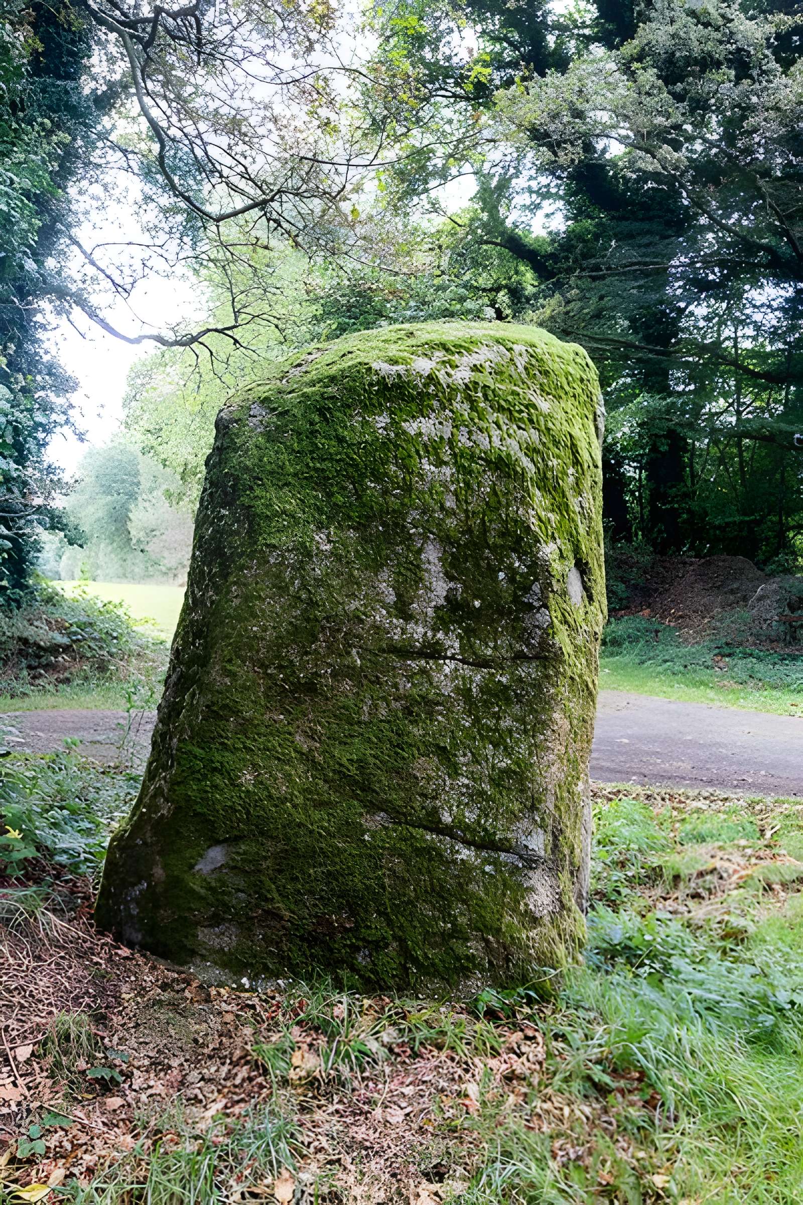 Fuseau de Margot à Plédran