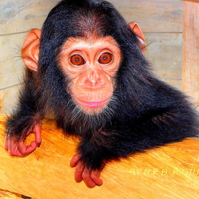 Photo de Garage Citroën à Lyon