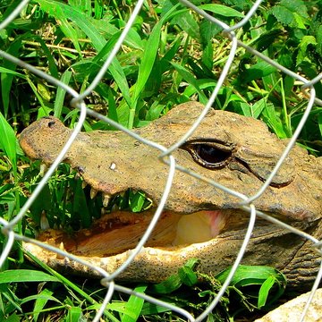 Garage Citroën à Lyon 