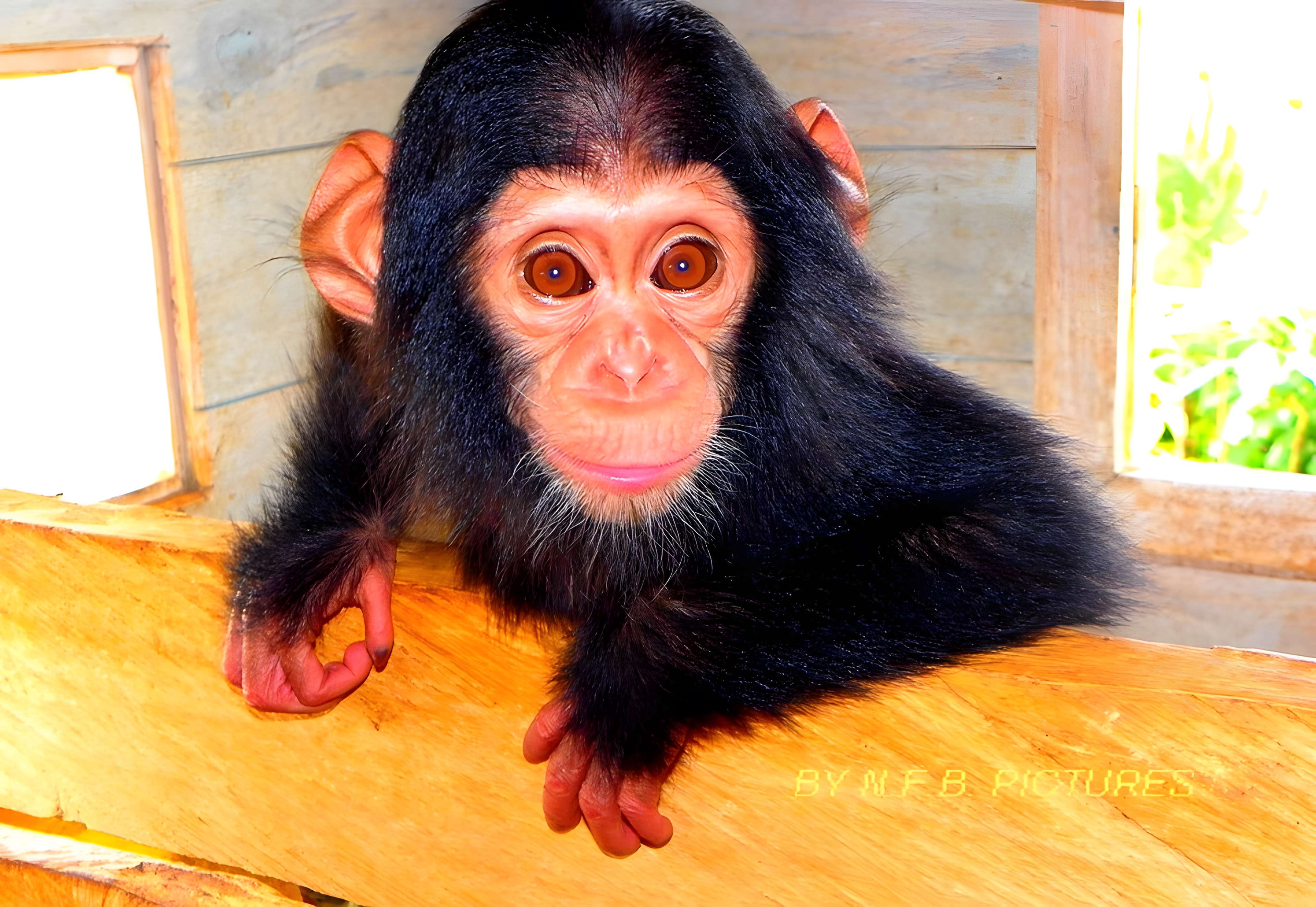 Garage Citroën à Lyon 