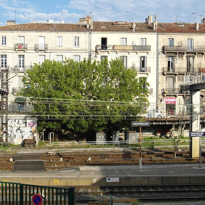 Photo de Gare de Montpellier-Saint-Roch