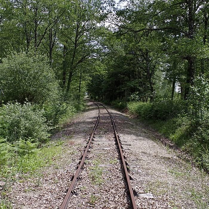 Photo de Gare de Pellevoisin
