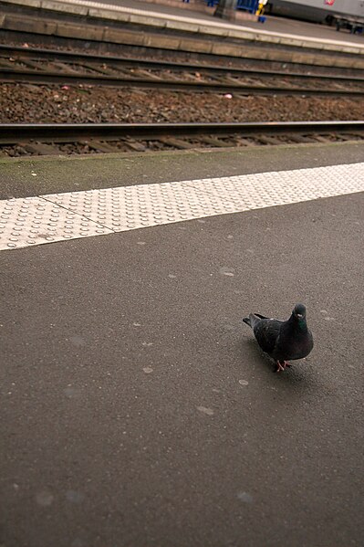 Gare de Toulouse-Matabiau