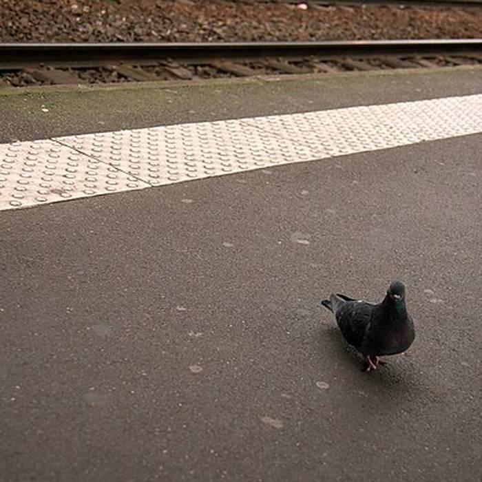 Photo de Gare de Toulouse-Matabiau