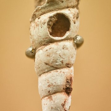 Gisement de la Gravette à Bayac