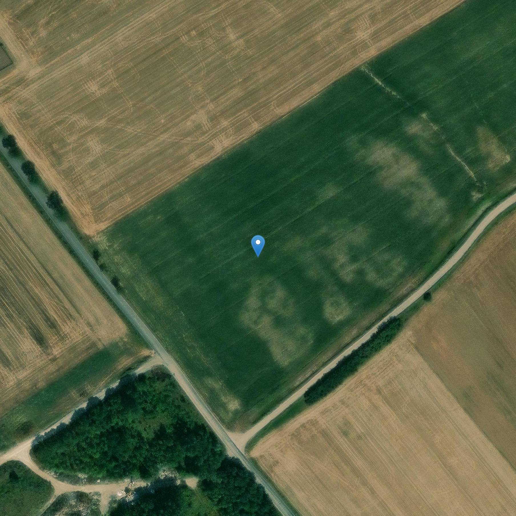 Photo de Paleolithisches Museum der Hallines