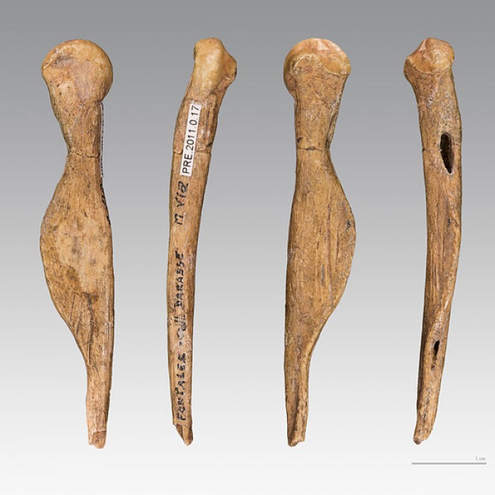 Photo de Gisement préhistorique de Fontalès de Saint-Antonin-Noble-Val