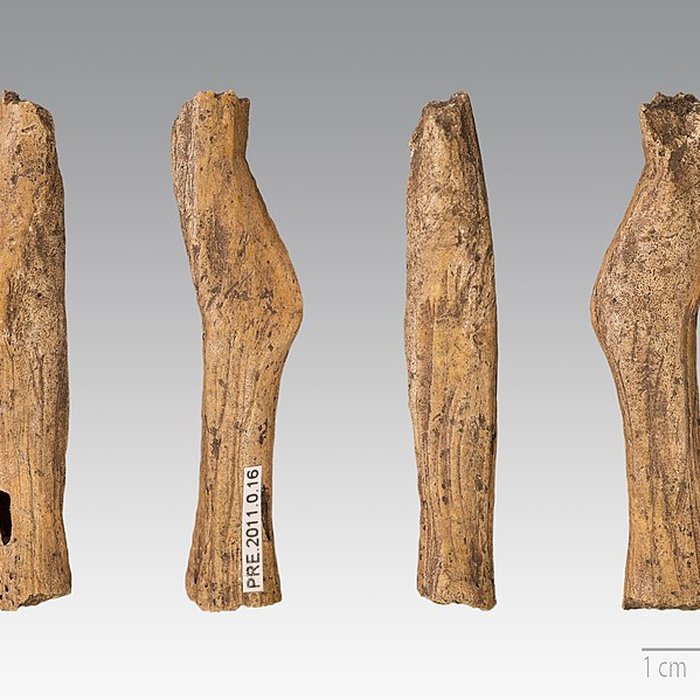 Photo de Gisement préhistorique de Fontalès de Saint-Antonin-Noble-Val