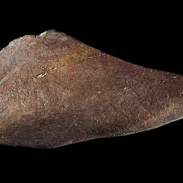 Gisement préhistorique de Fontalès de Saint-Antonin-Noble-Val