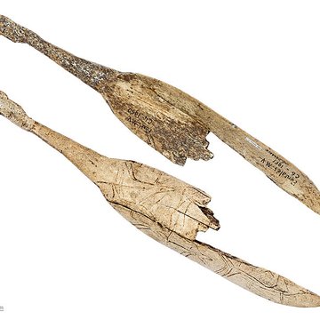 Gisement préhistorique de Fontalès de Saint-Antonin-Noble-Val