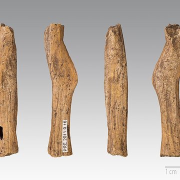 Gisement préhistorique de Fontalès de Saint-Antonin-Noble-Val