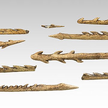 Gisement préhistorique de Fontalès de Saint-Antonin-Noble-Val