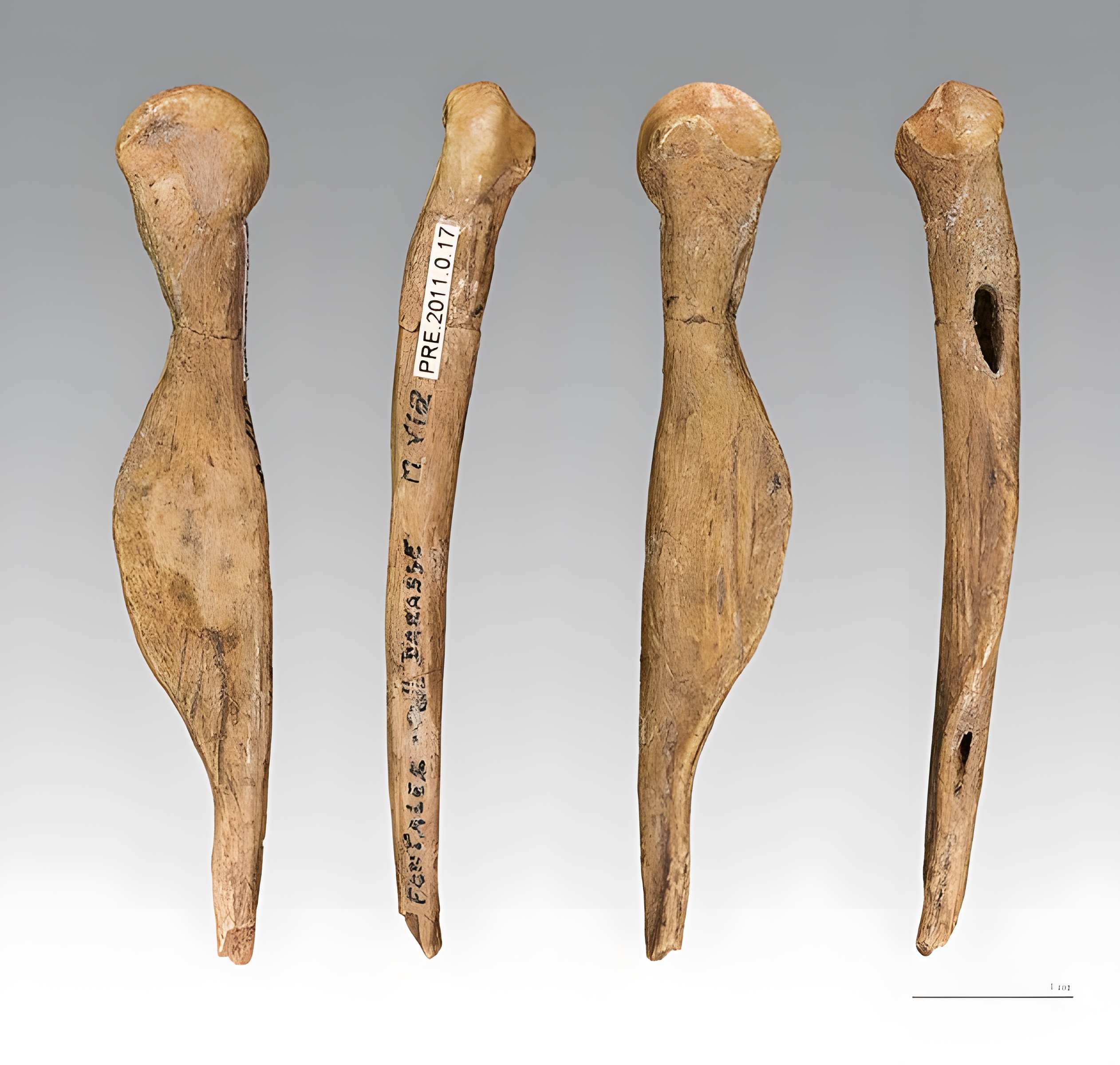 Gisement préhistorique de Fontalès de Saint-Antonin-Noble-Val 