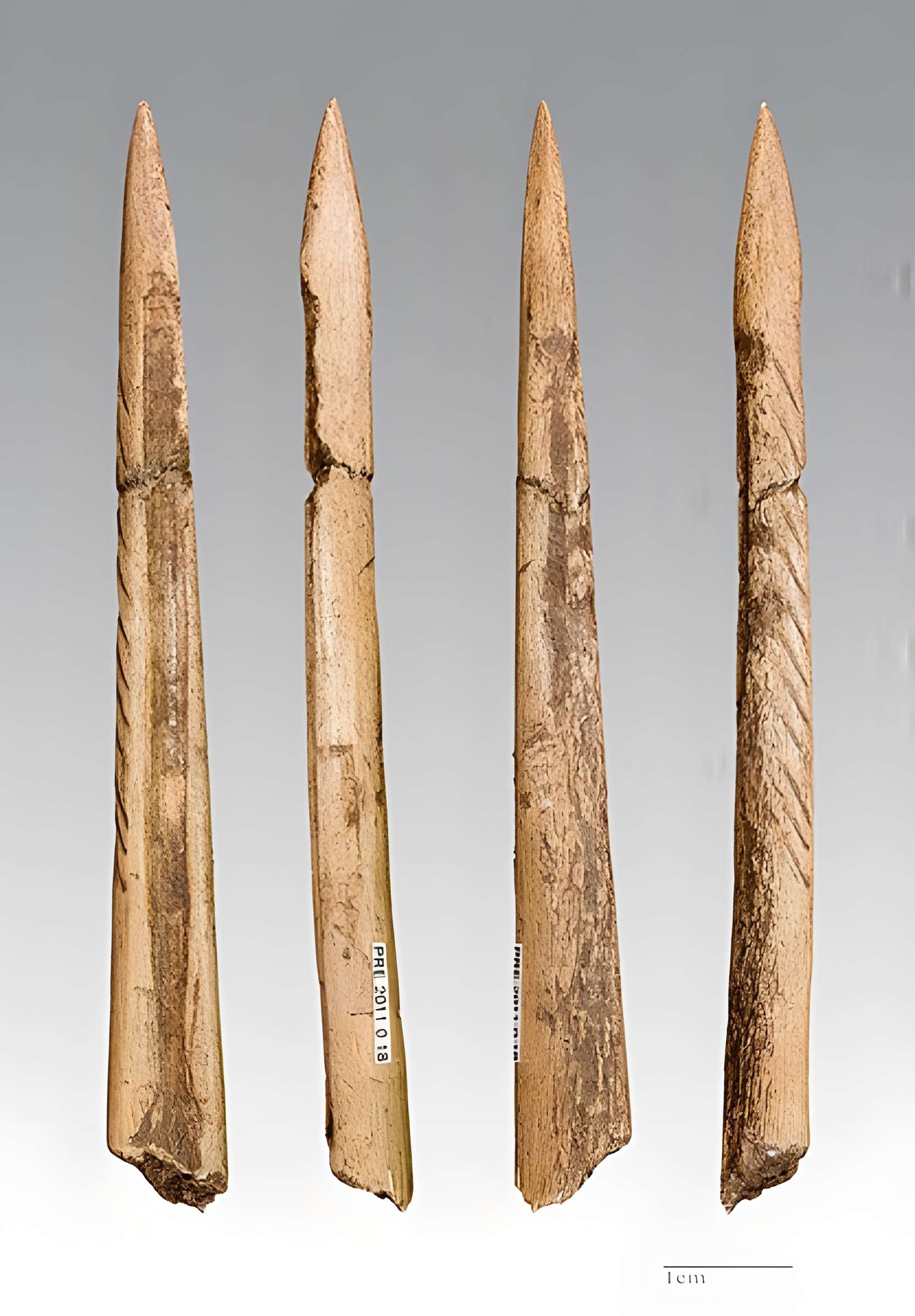 Gisement préhistorique de Fontalès de Saint-Antonin-Noble-Val