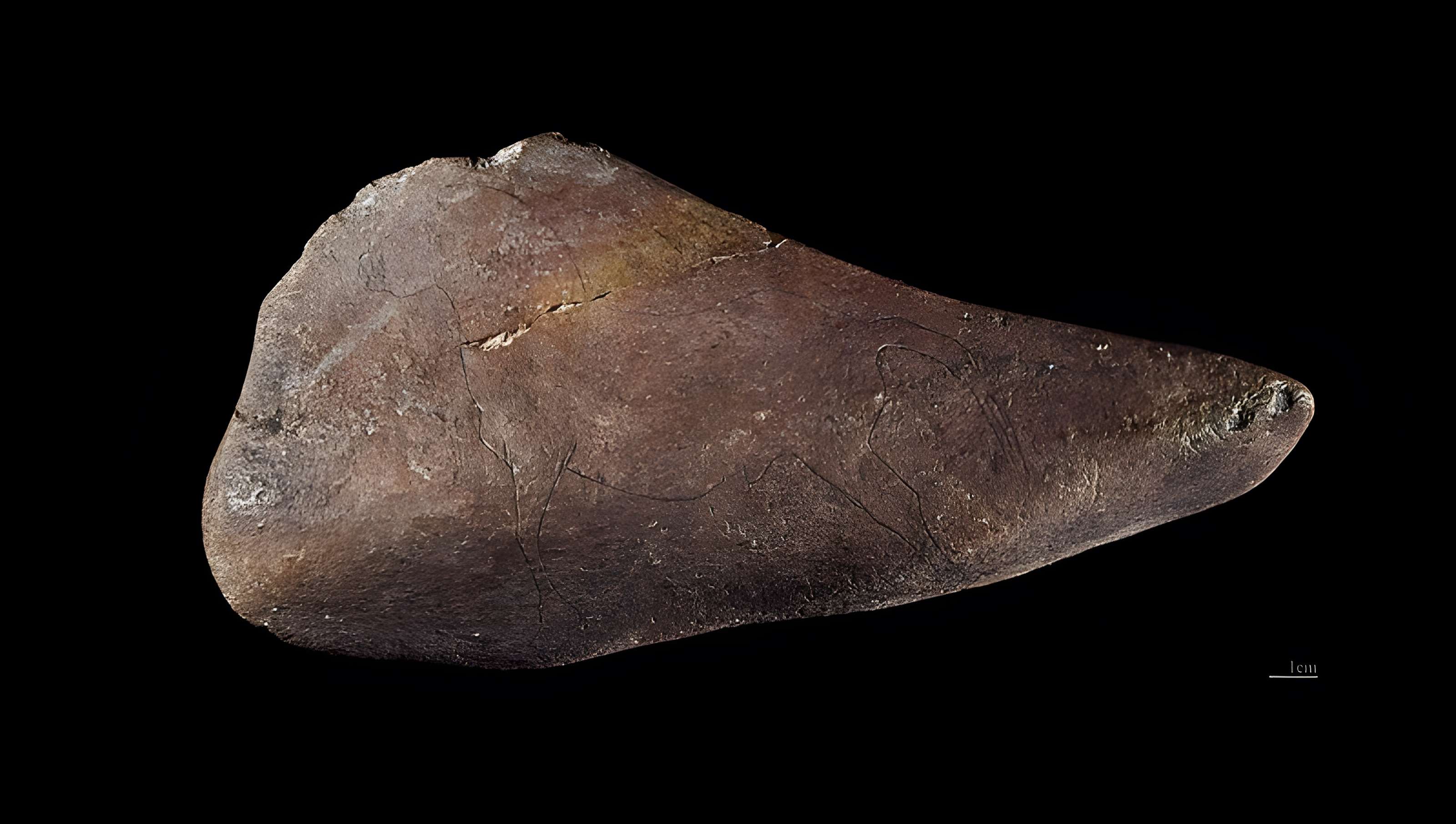 Gisement préhistorique de Fontalès de Saint-Antonin-Noble-Val