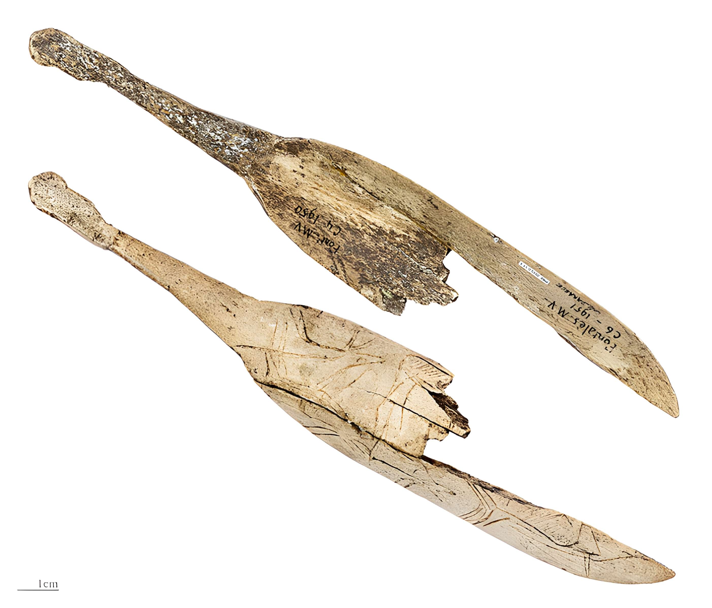 Gisement préhistorique de Fontalès de Saint-Antonin-Noble-Val