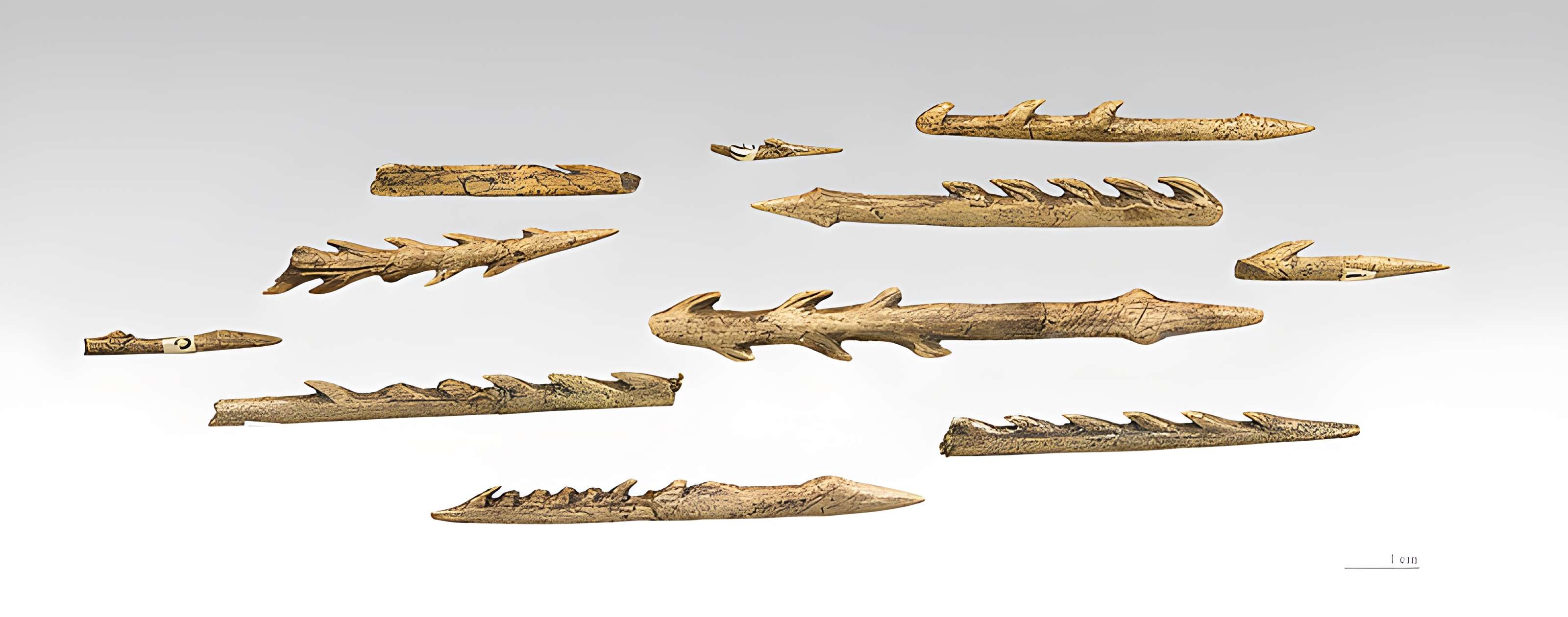 Gisement préhistorique de Fontalès de Saint-Antonin-Noble-Val