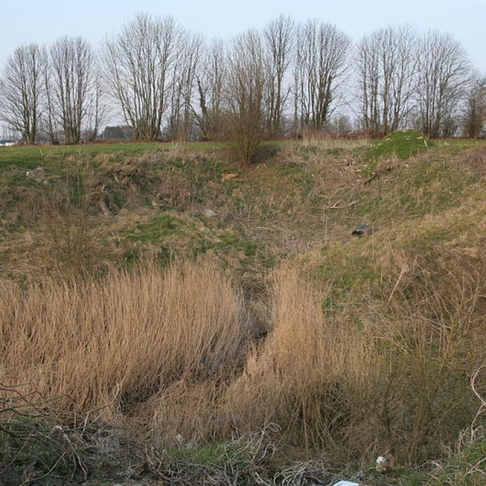 Photo de Gisement préhistorique de Saint-Romain-de-Colbosc