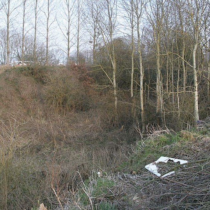 Photo de Gisement préhistorique de Saint-Romain-de-Colbosc