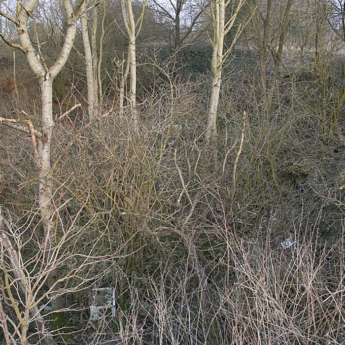 Photo de Gisement préhistorique de Saint-Romain-de-Colbosc