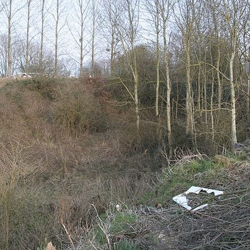 Gisement préhistorique de Saint-Romain-de-Colbosc