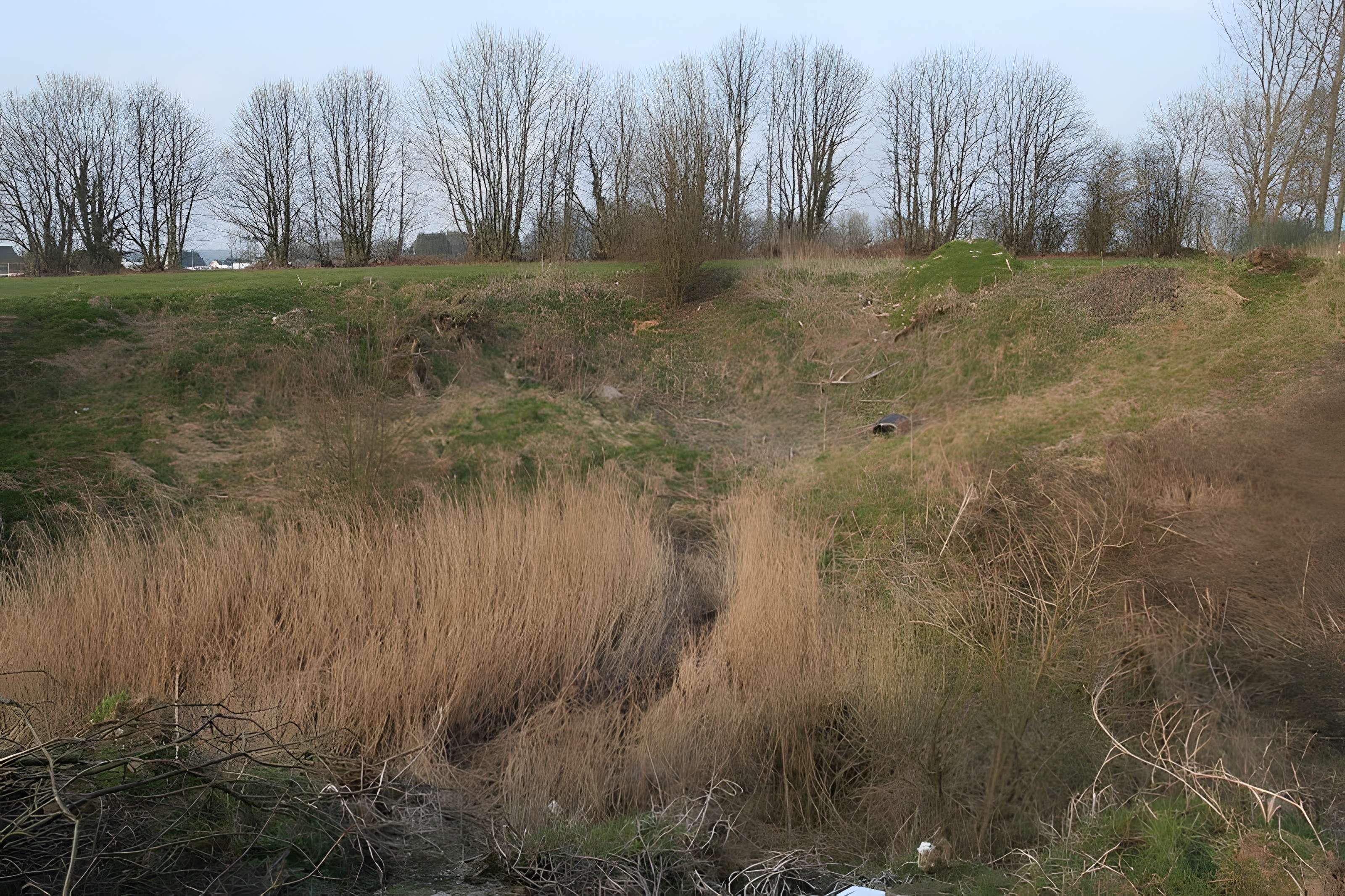 Gisement préhistorique de Saint-Romain-de-Colbosc 