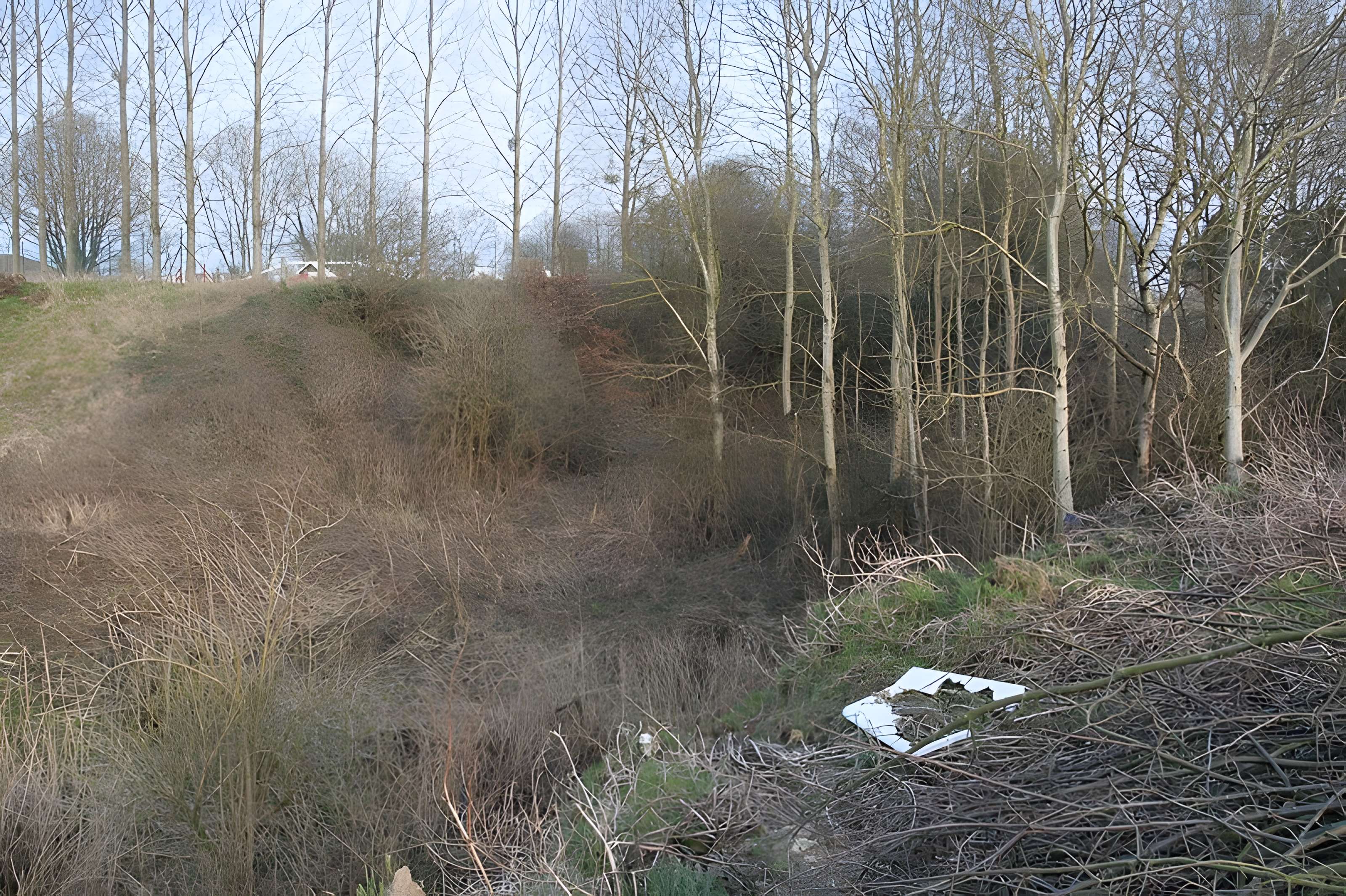 Gisement préhistorique de Saint-Romain-de-Colbosc