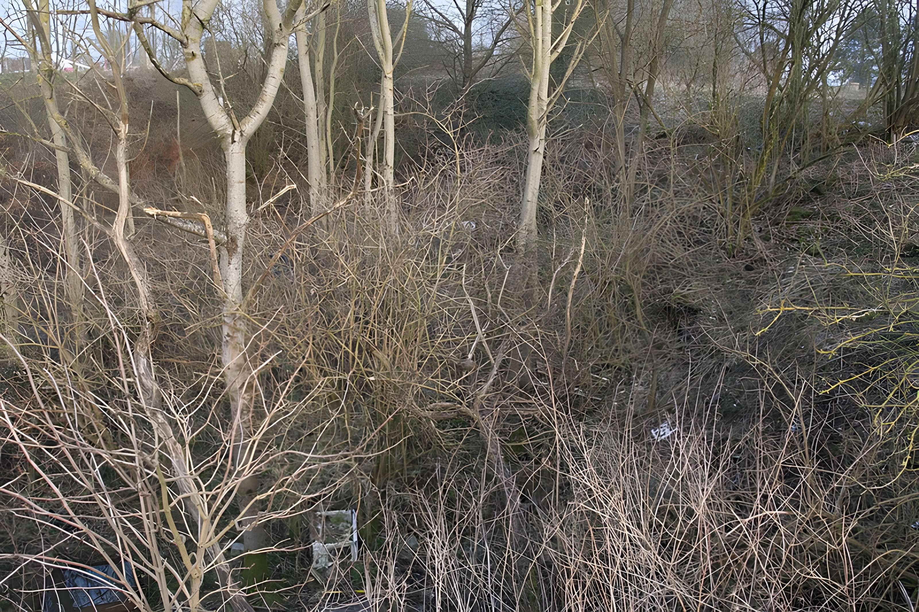 Gisement préhistorique de Saint-Romain-de-Colbosc